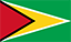 MobilityPass Roaming eSIM for Guyana 